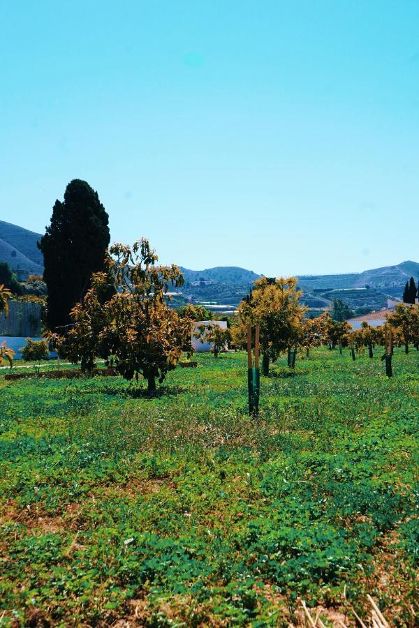Finca Yantar Motril Exterior photo
